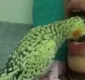 
                  Bruna Marquezine mostra pássaro fazendo ‘limpeza’ nos seus dentes