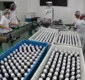 
                  Empresa farmacêutica amplia produção e gera 800 empregos na BA