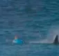 
                  Mãe de surfista atacado por tubarão achou que filho não voltaria
