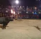 
                  Homem irrita touro e leva a pior; assista vídeo