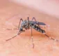 
                  Fiocruz comprova relação entre zika e síndrome de Guillain-Barré