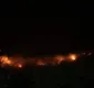 
                  Palmeiras decreta estado de emergência devido aos incêndios