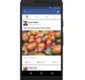 
                  App do Facebook vai funcionar sem consumir dados da internet