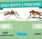 
                  Aedes e Pernilongo: conheça as diferenças