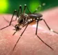
                  Brasil vai desenvolver teste para detectar Zika em doadores