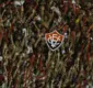 
                  Vitória inicia venda de ingressos para jogo contra o Feirense