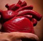 
                  Cientistas encontram alternativa contra insuficiência cardíaca