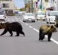 
                  Japão tem quatro mortes por ataque de urso em três semanas