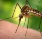 
                  Vírus zika é associado a inflamação intraocular em adultos