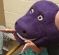
                  Menina prende a cabeça em fantasia do dinossauro Barney