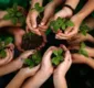 
                  Projeto de lei visa o ensino de educação ambiental em escolas