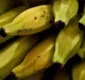
                  Banana pode desaparecer em cinco anos, afirma estudo