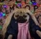 
                  Pug bomba na internet com paródia de cenas de 'Stranger Things'