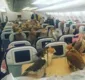 
                  Em voo, príncipe compra assentos para seus 80 falcões embarcarem