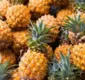 
                  Governo Michel Temer gasta R$ 14 mil em abacaxi; veja outros
