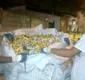 
                  Catadores já coletaram mais de 45 toneladas durante Carnaval