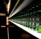 
                  Heineken compra dona das cervejas Schin e Devassa