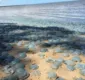 
                  Centenas de águas-vivas invadem praia da Austrália; veja fotos