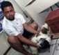 
                  Polícia prende sequestrador de cães em Salvador
