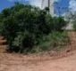 
                  Desmatamento na Estrada do Mandu assusta moradores de São Marcos