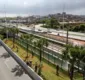 
                  Canteiro central da avenida Paralela começa a ganhar palmeiras