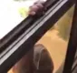 
                  Mulher filma empregada caindo pela janela e não faz nada