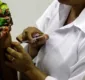 
                  Salvador terá vacinação contra febre amarela em dose única