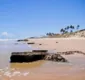 
                  Conheça as regras para a praia naturista de Massarandupió