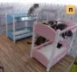 
                  Reality animal: conheça a casa de gatos que fica 24 horas no ar