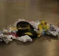 
                  Bope descarta presença de bomba em mochila na Estação de Brotas