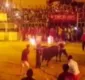 
                  Festival de tourada é proibido após suicídio de touro; vídeo