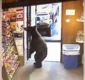 
                  Vídeo mostra urso invadindo loja de bebidas alcoólicas no Alasca