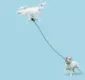 
                  Empresa cria drone para passeios com cães