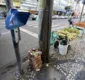 
                  Furto de lixeiras em Salvador geram prejuízo de R$ 15 mil por mês