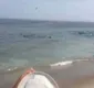 
                  Vídeo mostra pânico de meninos em fuga após tubarão atacar foca