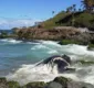 
                  Baleia ferida encalha em praia de Salvador
