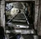 
                  Assaltantes 'investiram' R$ 4 milhões em túnel para roubar banco