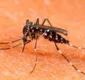 
                  Vacina da dengue não pode ser tomada por quem nunca teve a doença