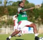 
                  O trunfo de Carpegiani na luta do Bahia rumo à Libertadores