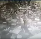 
                  Vídeo mostra pânico em tiroteio no Rio Vermelho