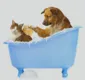 
                  Entenda melhor a importância do banho e tosa para os pets