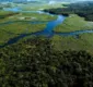 
                  Grupo vai restaurar 210 hectares de Mata Atlântica na Bahia