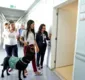 
                  ‘Cão Amigo' auxilia no tratamento de pacientes no Santa Izabel