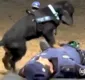 
                  'Cão policial' faz massagem cardíaca em agente e vídeo viraliza