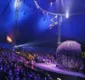 
                  Circo francês Le Cirque Amar chega a Salvador nesta sexta-feira