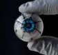 
                  Cientistas usam impressão 3D para criar ‘olho biônico’