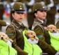 
                  Filhotes de cães policiais roubam a cena de parada militar