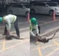 
                  Homens salvam gato de ser devorado por píton; veja vídeo