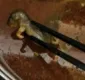 
                  Mulher grávida encontra rato morto dentro de seu prato de sopa
