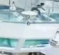 
                  Mulher cai em tanque com tubarões; veja vídeo